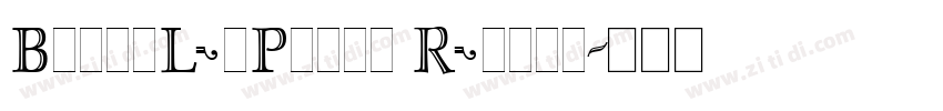 BronxLetPlain Regula字体转换